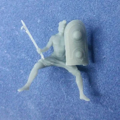 Indian mahout with shield