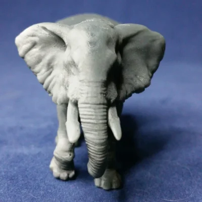 African forrest elephant