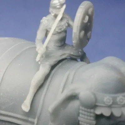 Indian mahout with shield and wreath