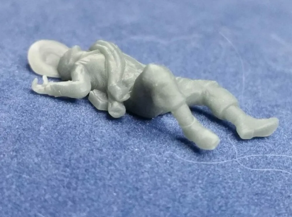 Confederate casualty on back - Image 2