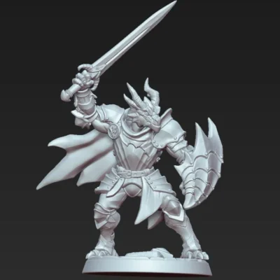 Dragonguard with sword and dragonguard Shield AG