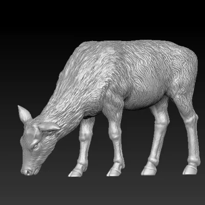 Megaloceros female eating Grass