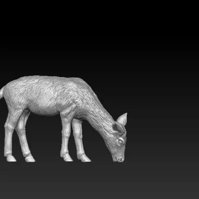 Megaloceros kid eating Grass