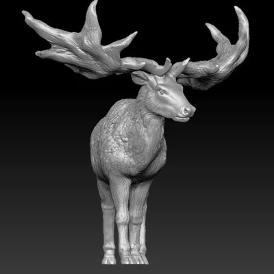 Megaloceros standing