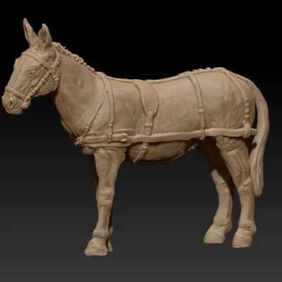 Front team mule listen