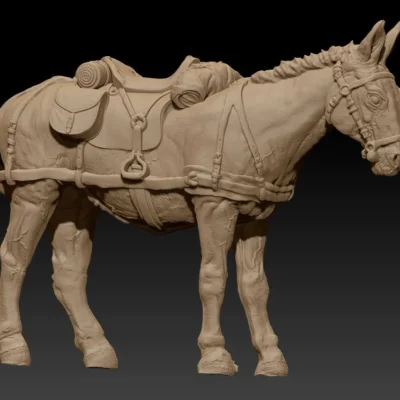 Front team saddle mule listen