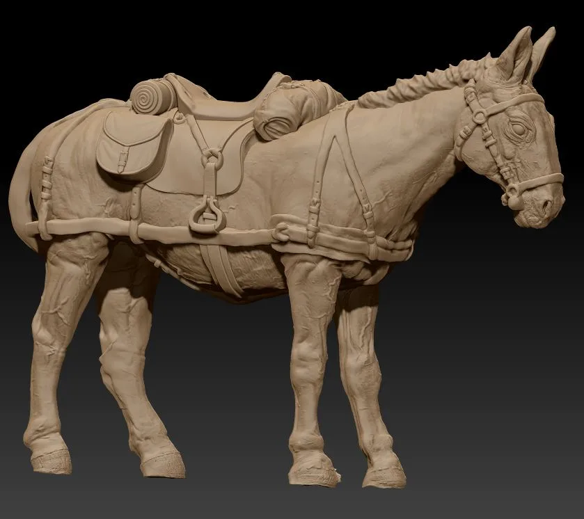 Front team saddle mule listen