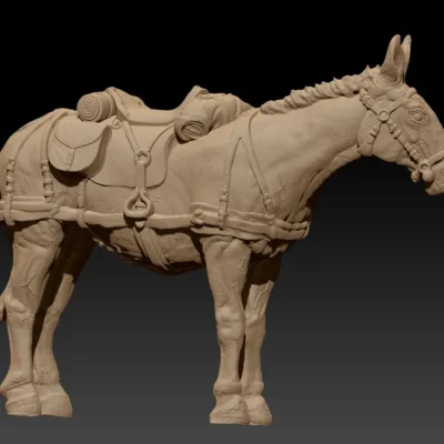 Rear team saddle mule listen