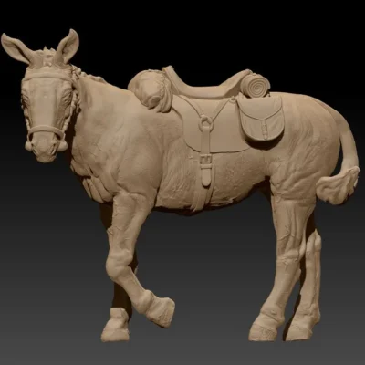 Saddle mule walking slow