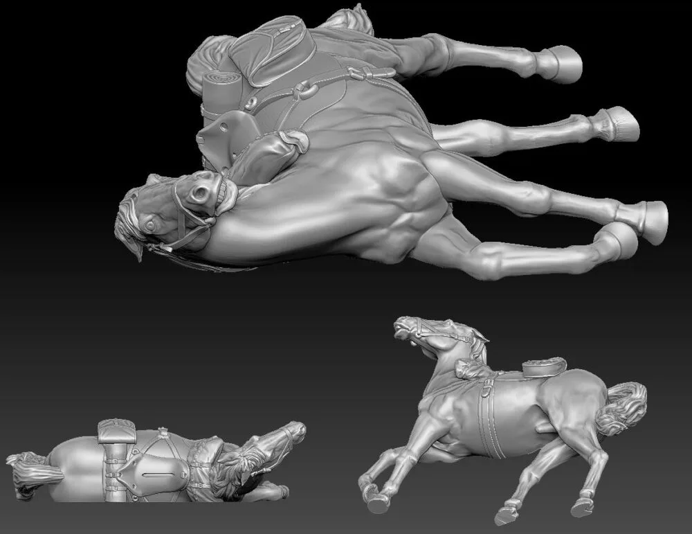 Horse injured and fearful, head up - Image 2