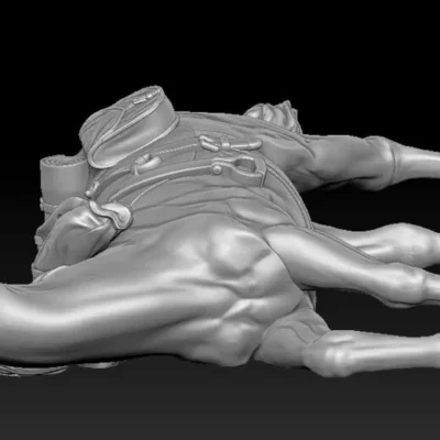 Horse injured and fearful, head up