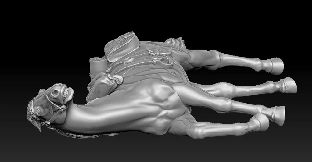 Horse injured and fearful, head up