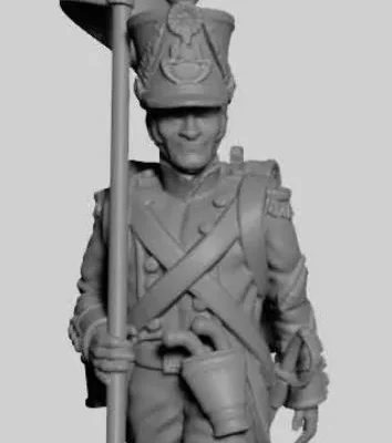 French Infantry banner carrier Post 1812 TN