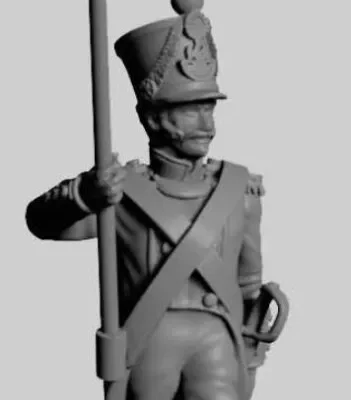 French standard bearer walking post 1812 TN