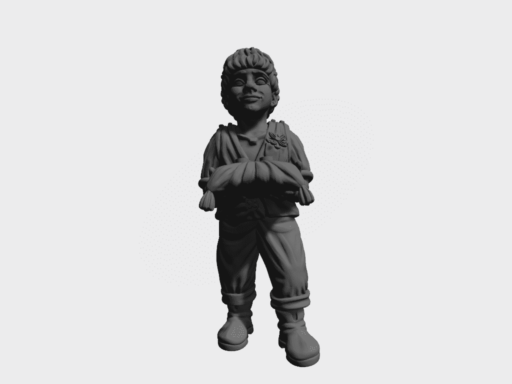 Boy with wedding ring-pillow EM