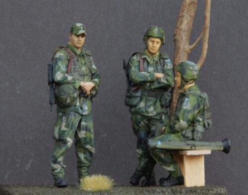 Swedish Modern Soldier in M90 Uniform - Standing Still photo review