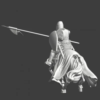 Medieval mounted knight chainmail/plate - NCM