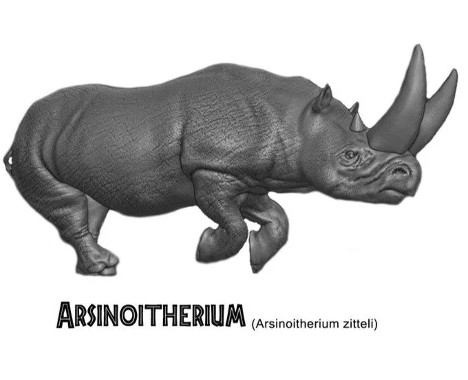 Arsinoitherium