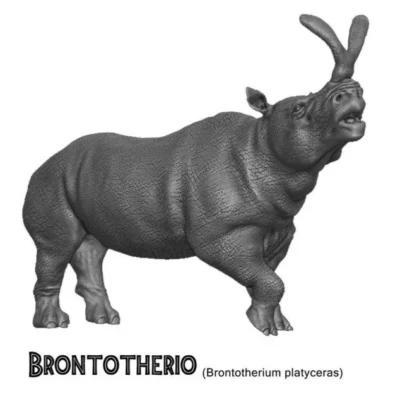 Brontoterio