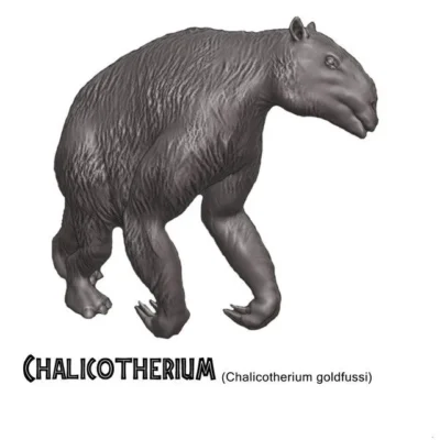 Chalicotherium
