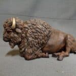 American Bison resting photo review