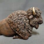 American Bison resting photo review