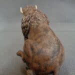 American Bison resting photo review