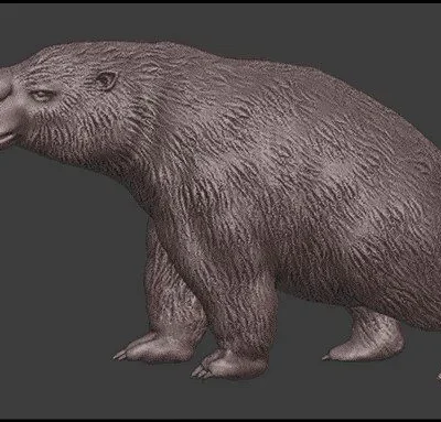 Diprotodon optatum