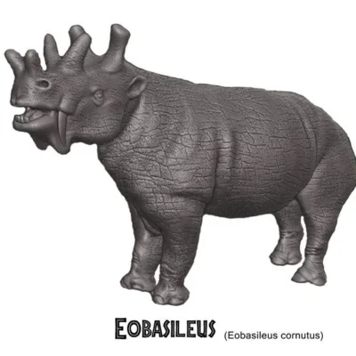 Eobasileus