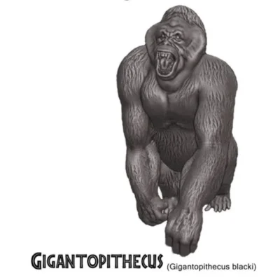 Gigantopithecus