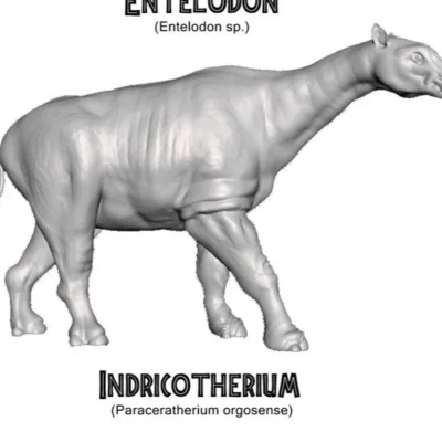 Indricotherium