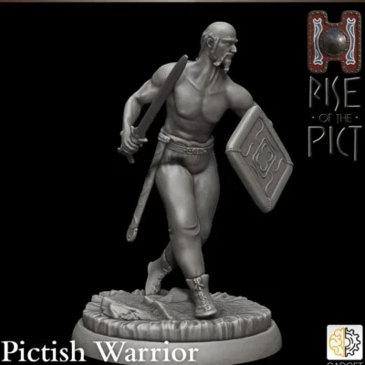 Pictish_warrior_sword_shield