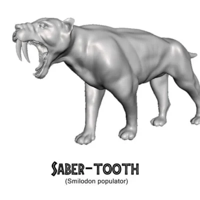 Saber-tooth