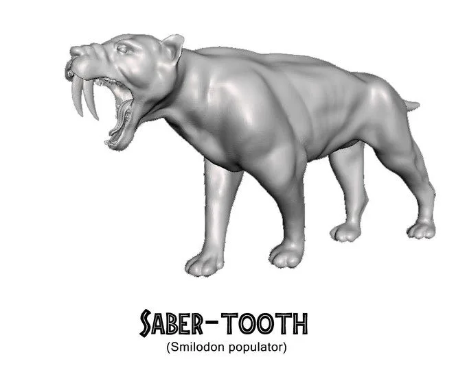 Saber-tooth