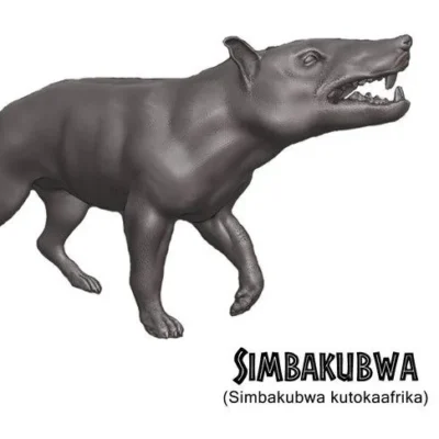 Simbakubwa