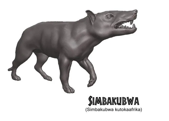 Simbakubwa