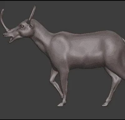 Synthetoceras tricornatus