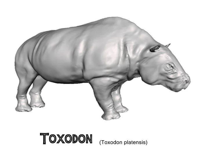 Toxodon