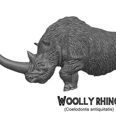 woolly rhino
