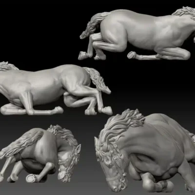 Horse casualty, dying