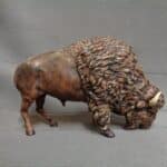 bison grazing photo review