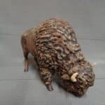 bison grazing photo review