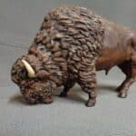 bison grazing photo review