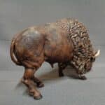 bison grazing photo review