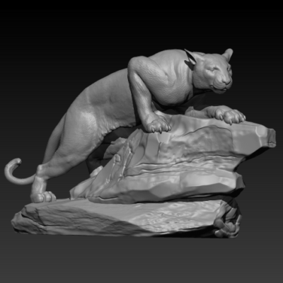 panther on stone