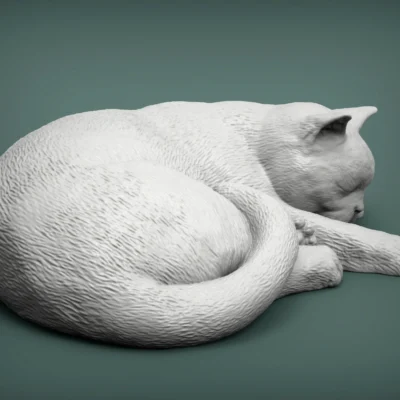 british shorthair cat resting