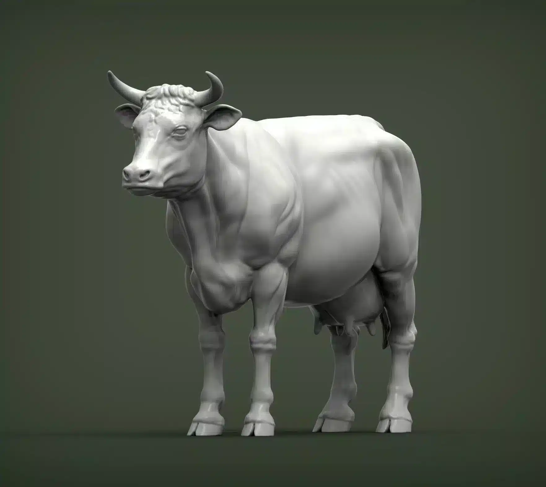 cow standing
