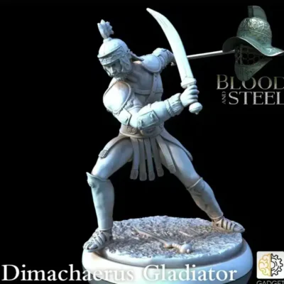 Dimachaerus dual wielder sword fighter