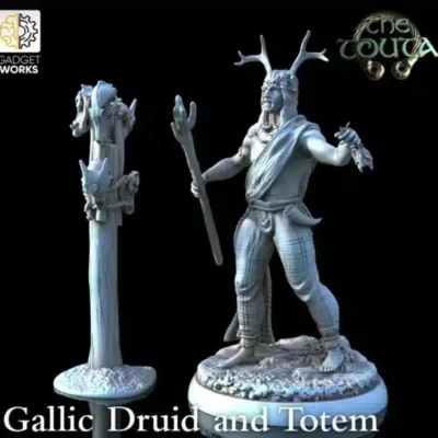 Gaul Druid with staff
