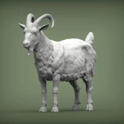 goat thicker fur standing